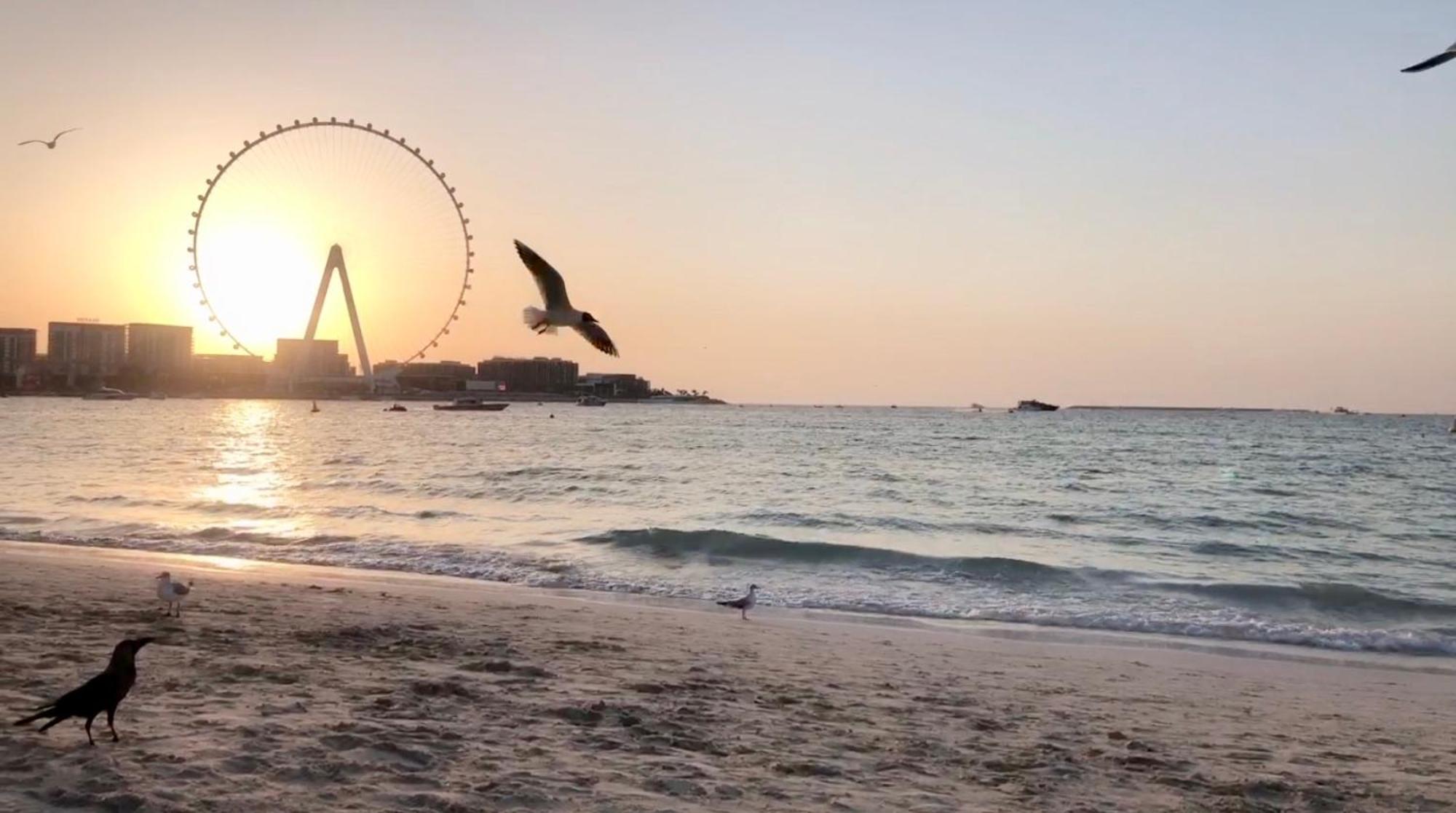 Jbr Beachfront Luxe Apartment All Rooms Sea Facing Dubai Exterior foto